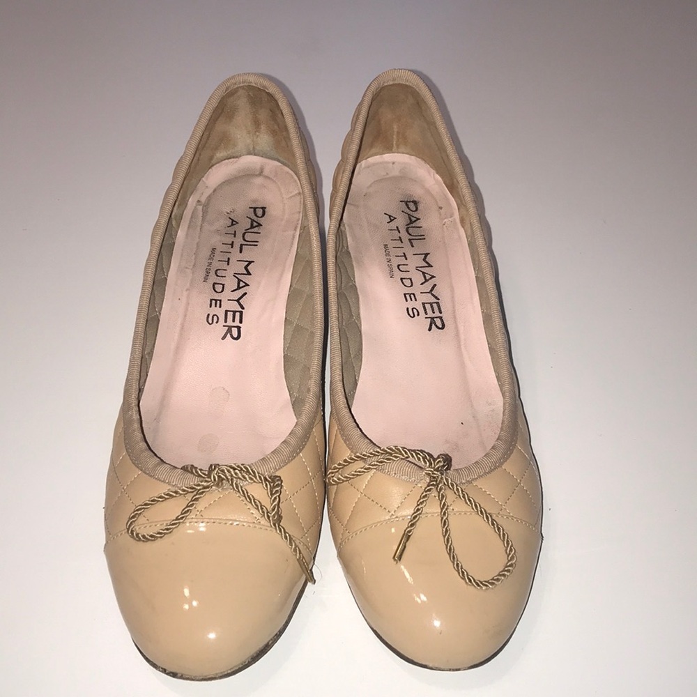 Paul Mayer ATTITUDES